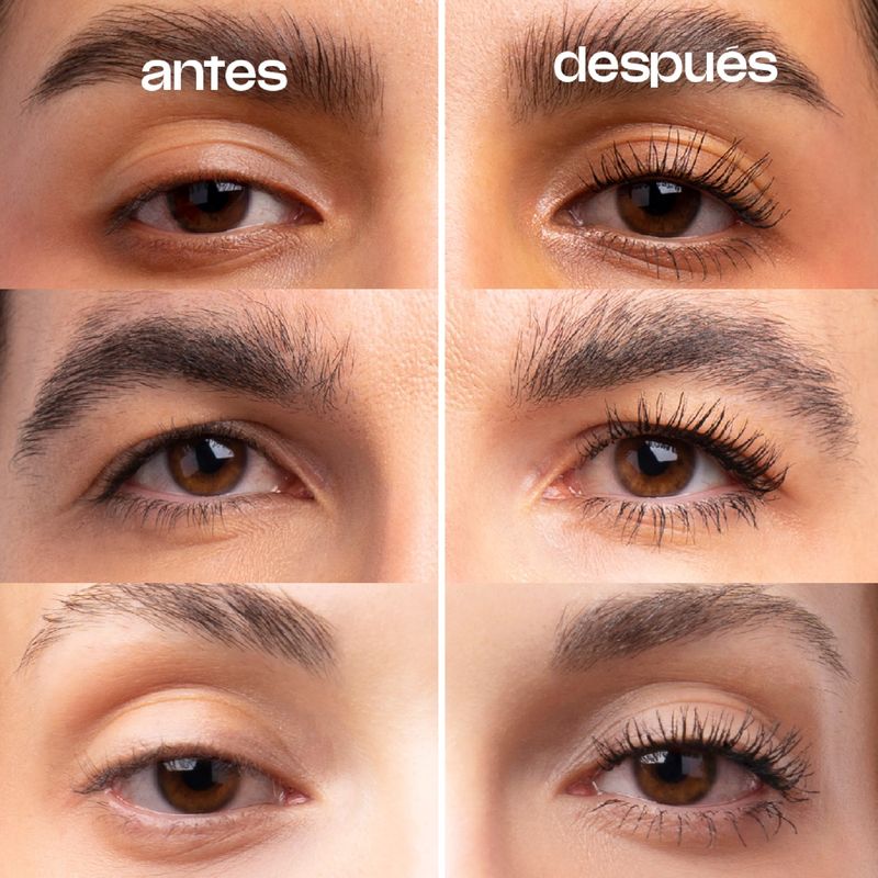 Diapositiva6