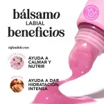 84ABD7F620FF8991D02D45FF6C68F22E_f6c37a7d-95ac-4683-94d2-3f768251d1e8_Diapositiva5.webp