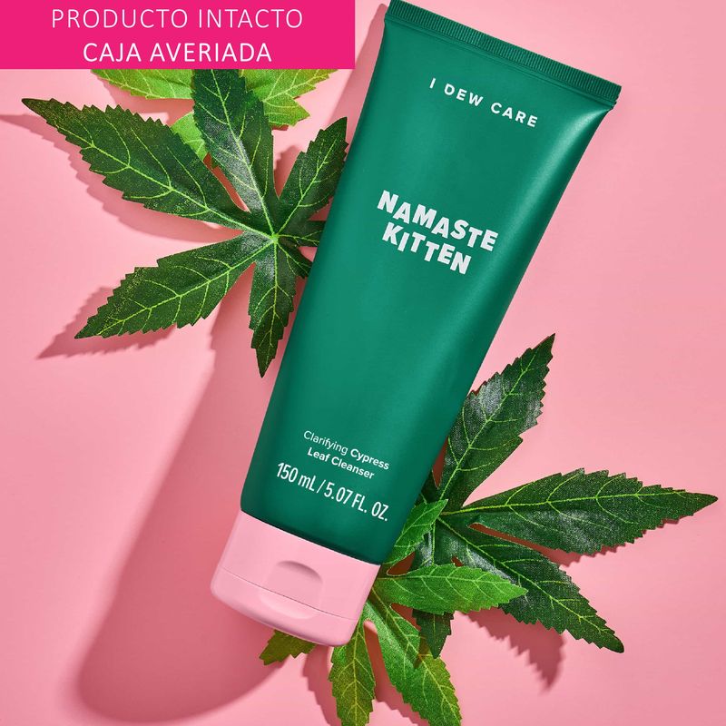 Diapositiva7
