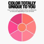 pH-Jelly-Tint-Blush-Bar-600x600-ColorWheel