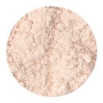 Diapositiva10
